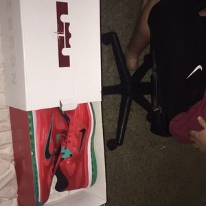 Lebron 9 Low Southbeach